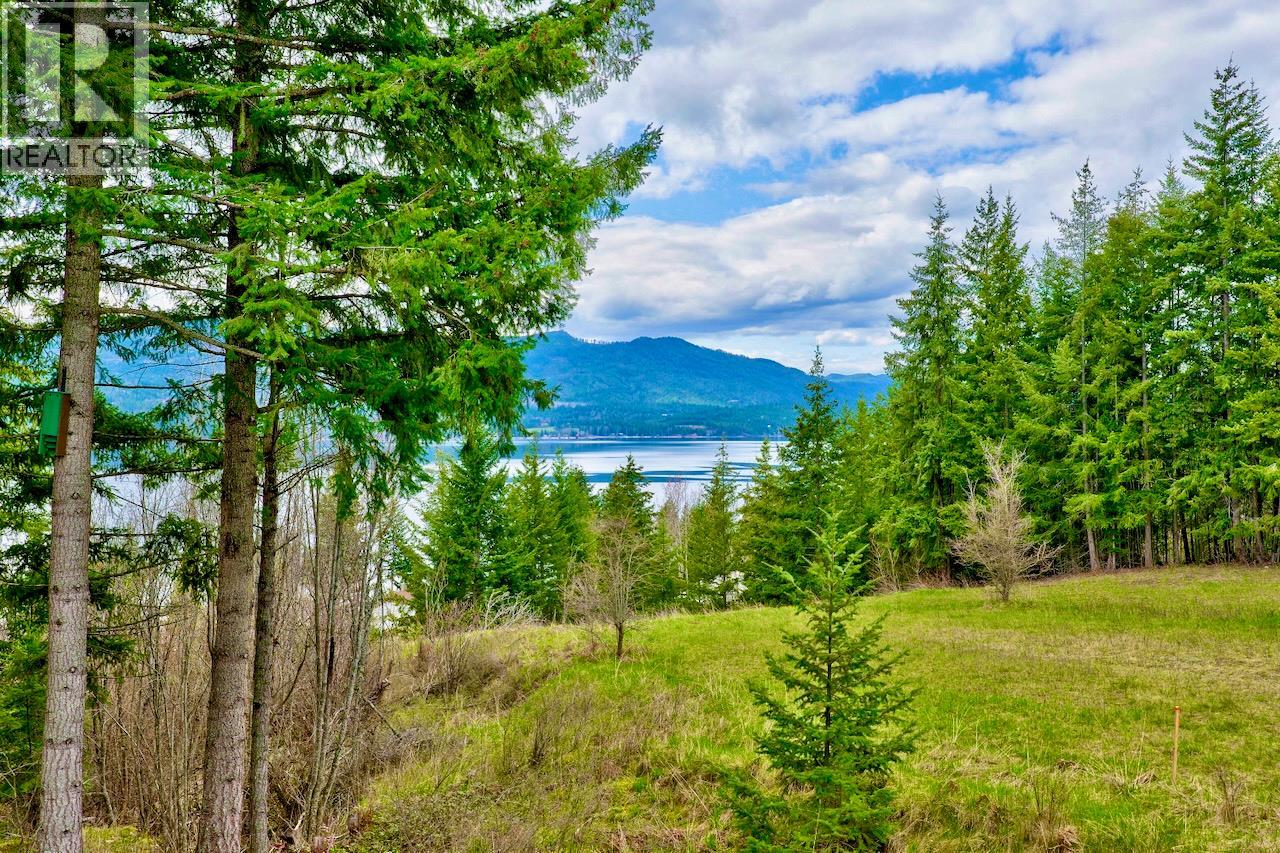 2589 Airstrip Road, Anglemont