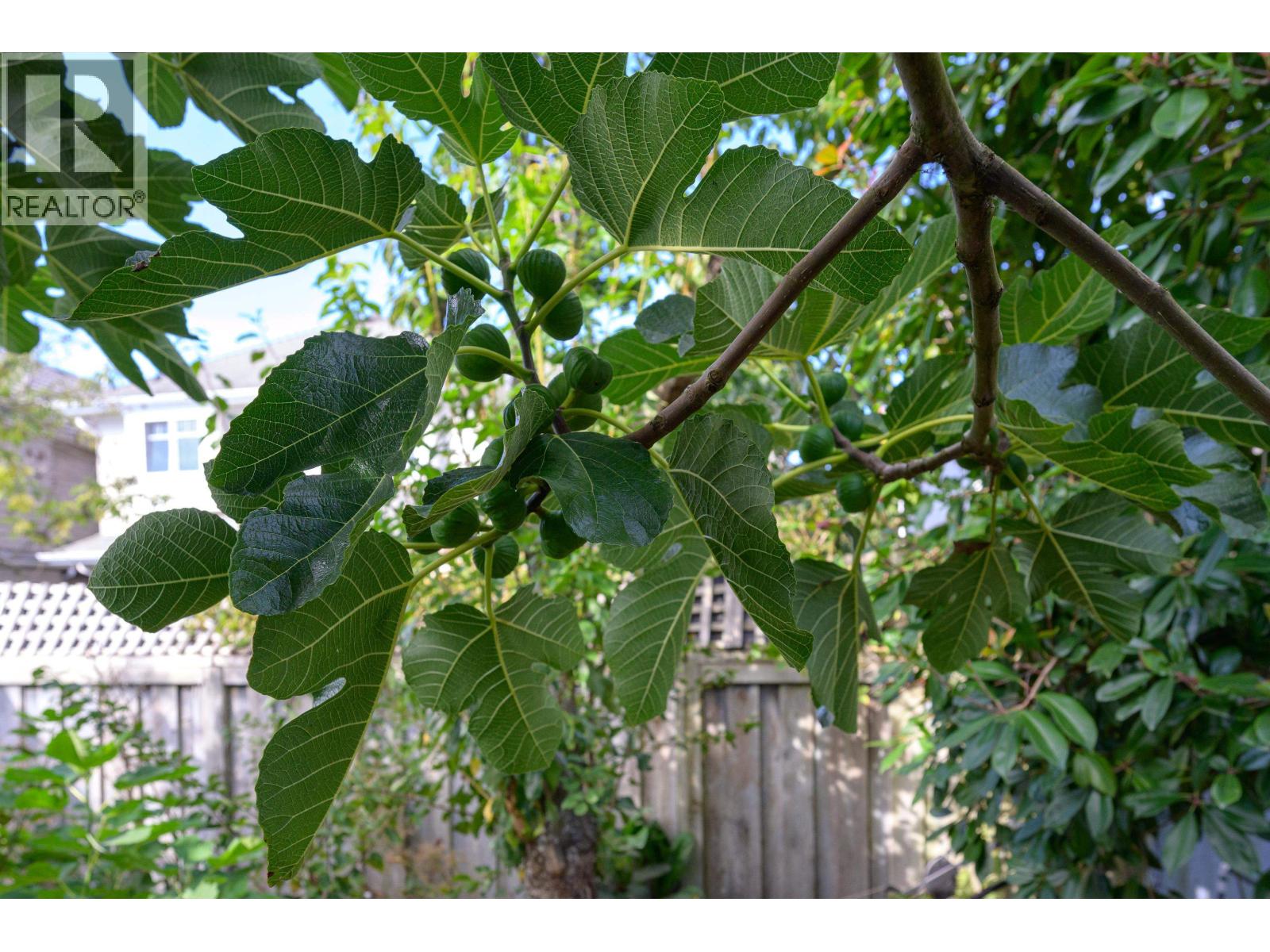 4430 50A Street, Delta