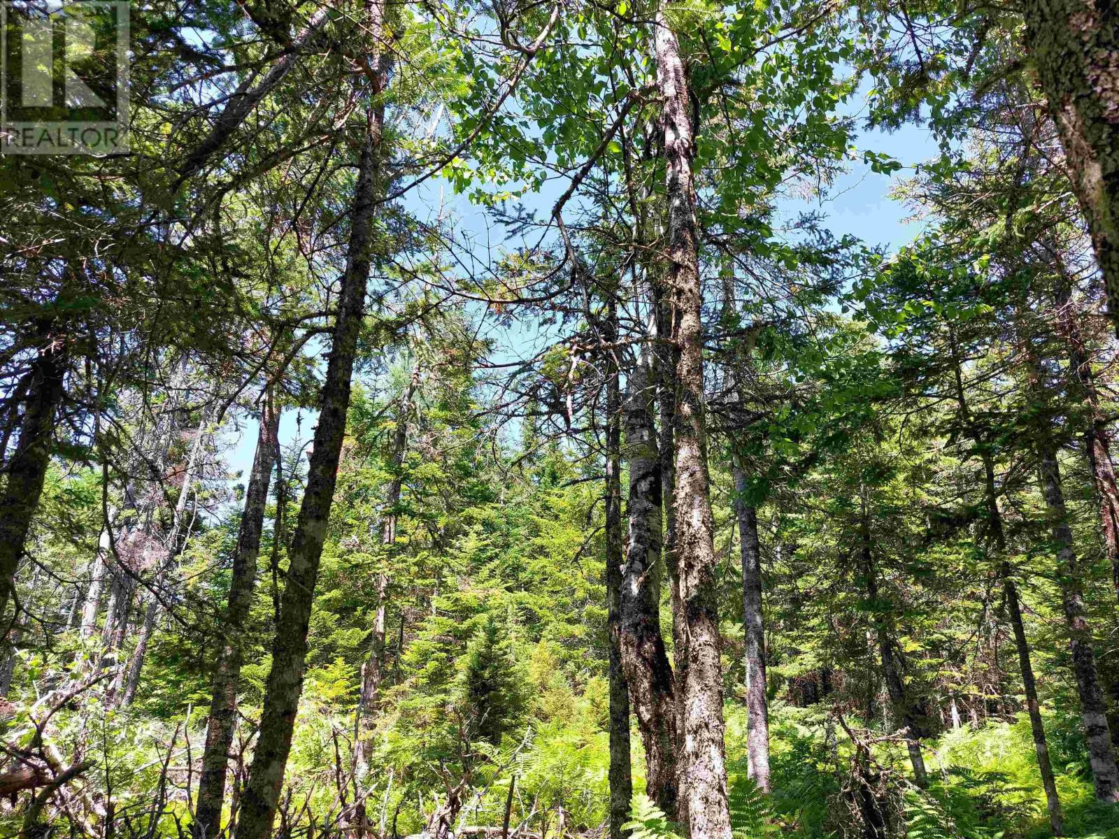 Property 6 of 18 of Lot 47E Widow Point Loop