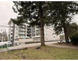 13231 104a Avenue, Surrey, BC V3T1Y6 Photo 11