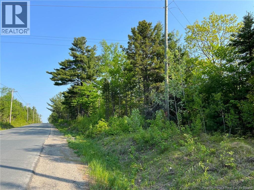 10.2 acres Hansen Road, Miramichi — photo 3