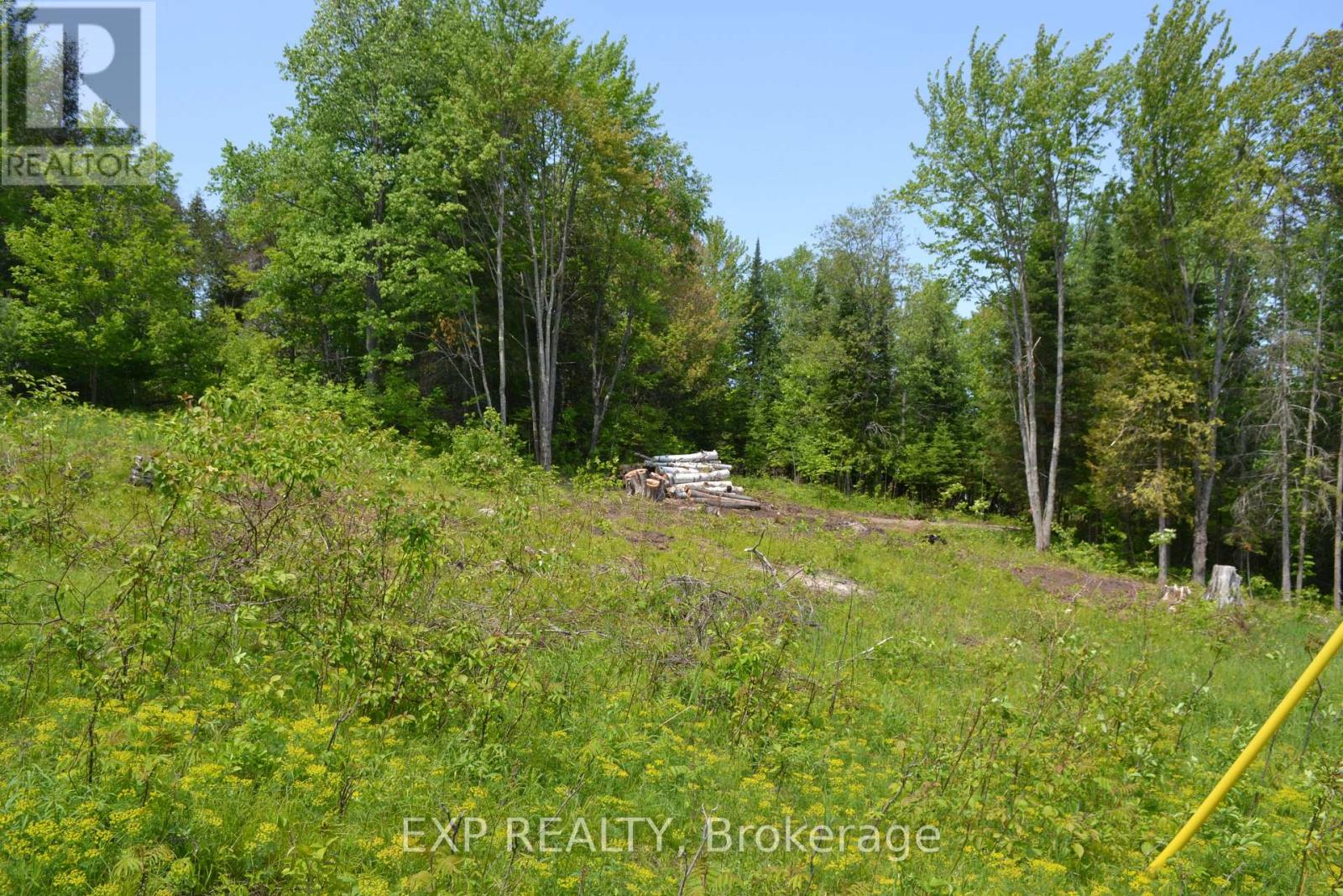 00 CALABOGIE ROAD — photo 36