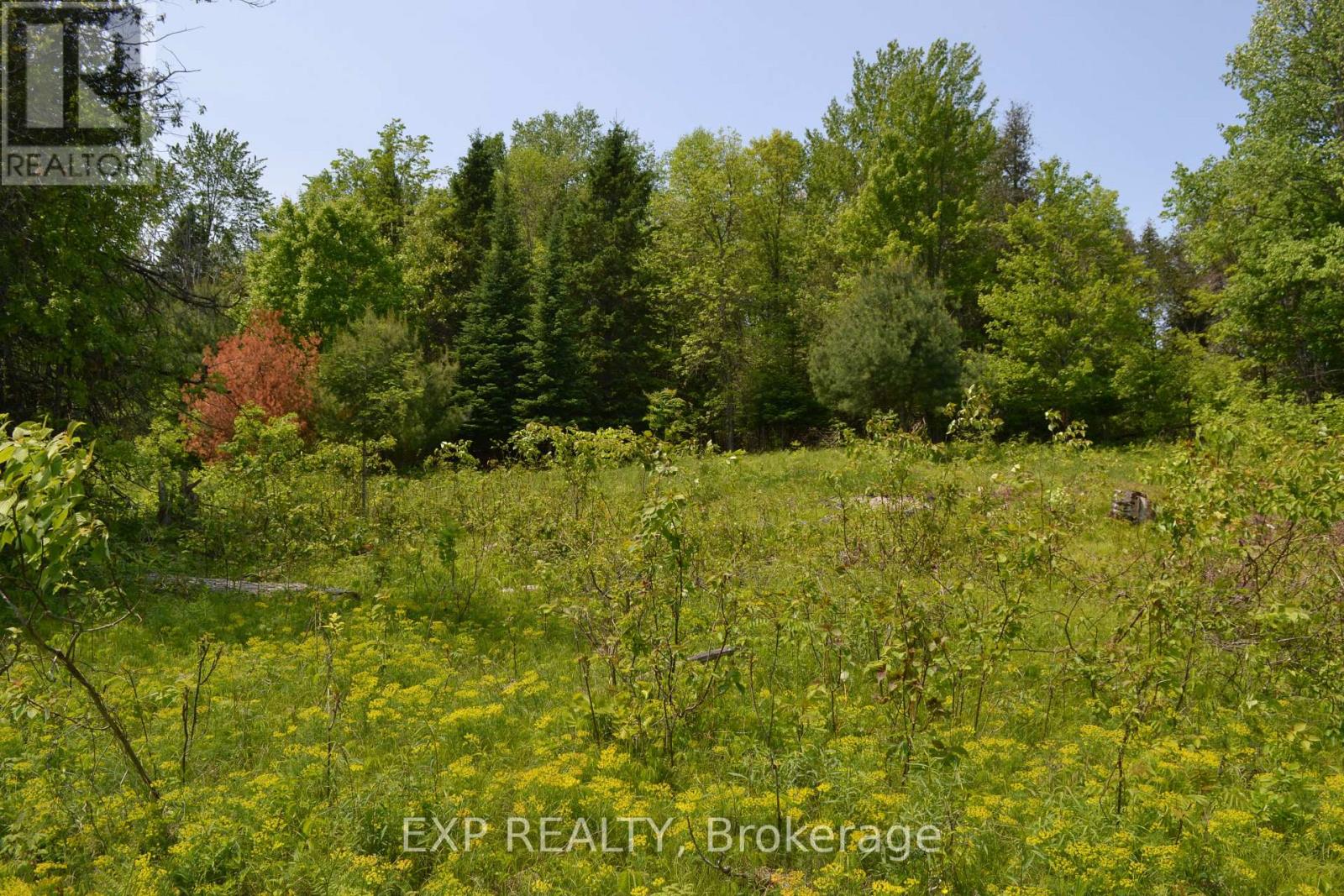 00 CALABOGIE ROAD — photo 35