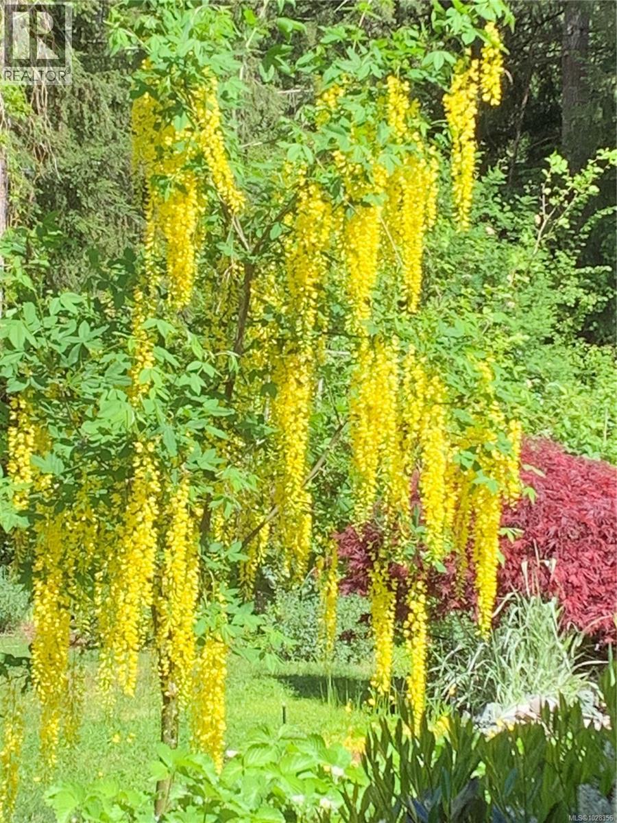 8800 CLARKSON AVE - 49