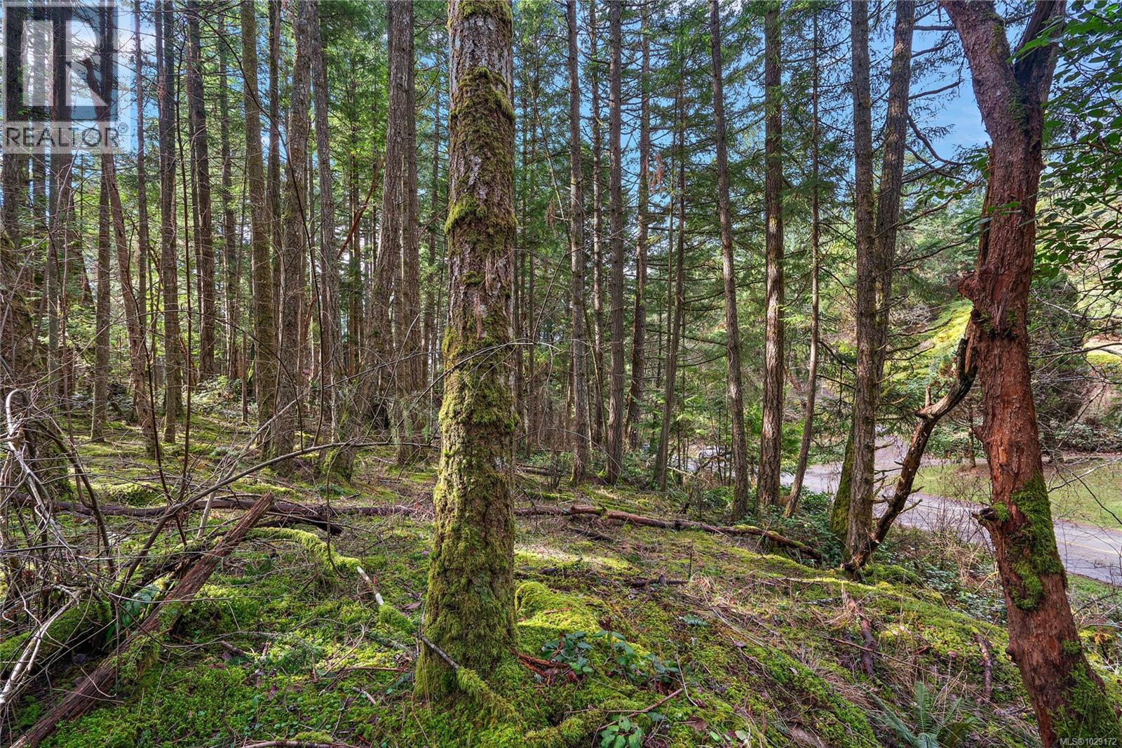  872 Walfred Road, Langford