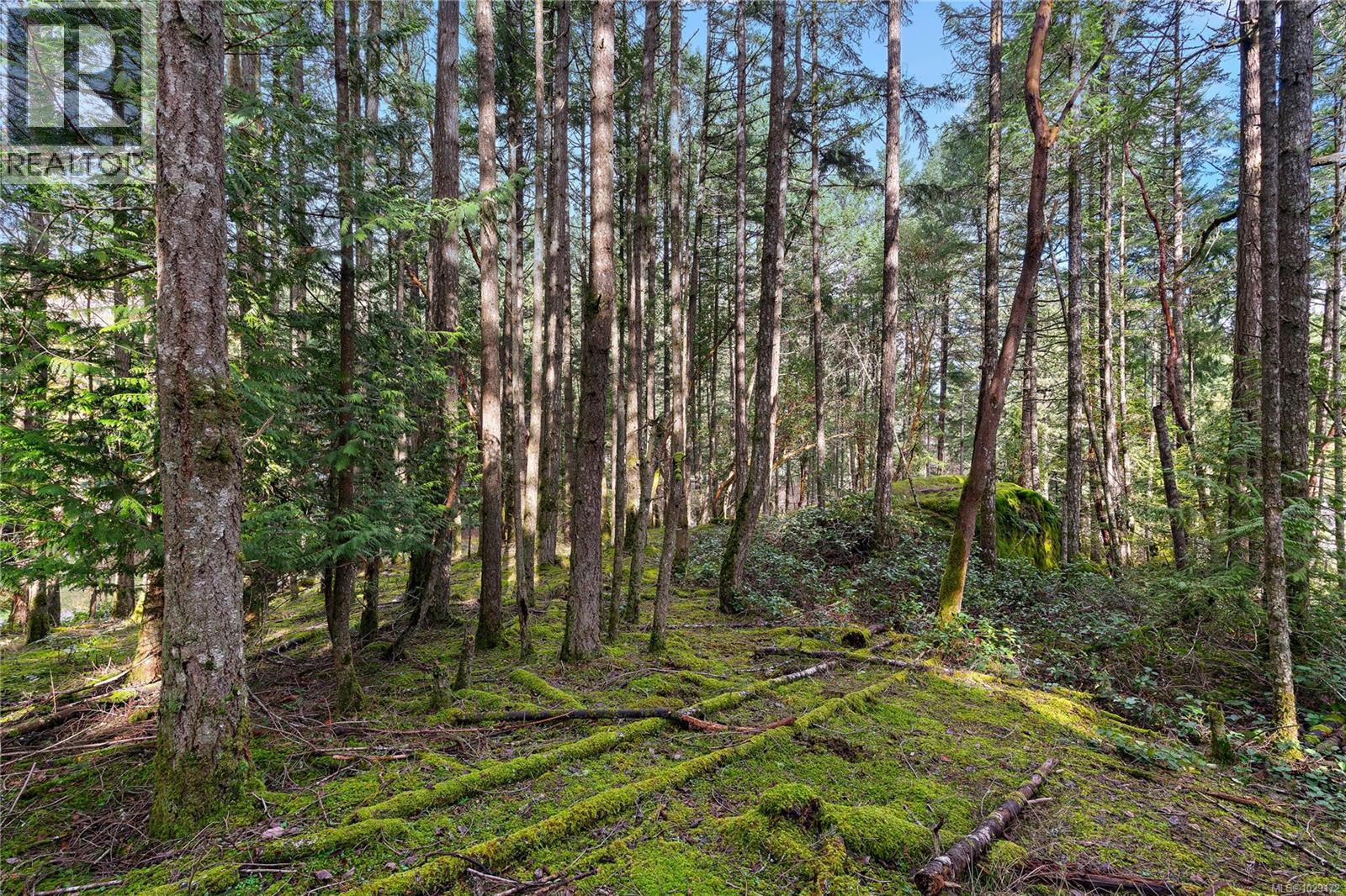  872 Walfred Road, Langford