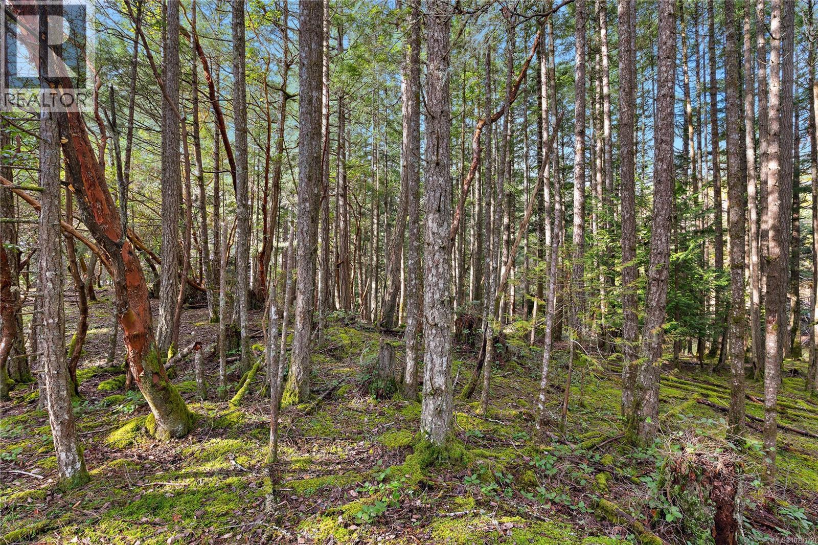  872 Walfred Road, Langford