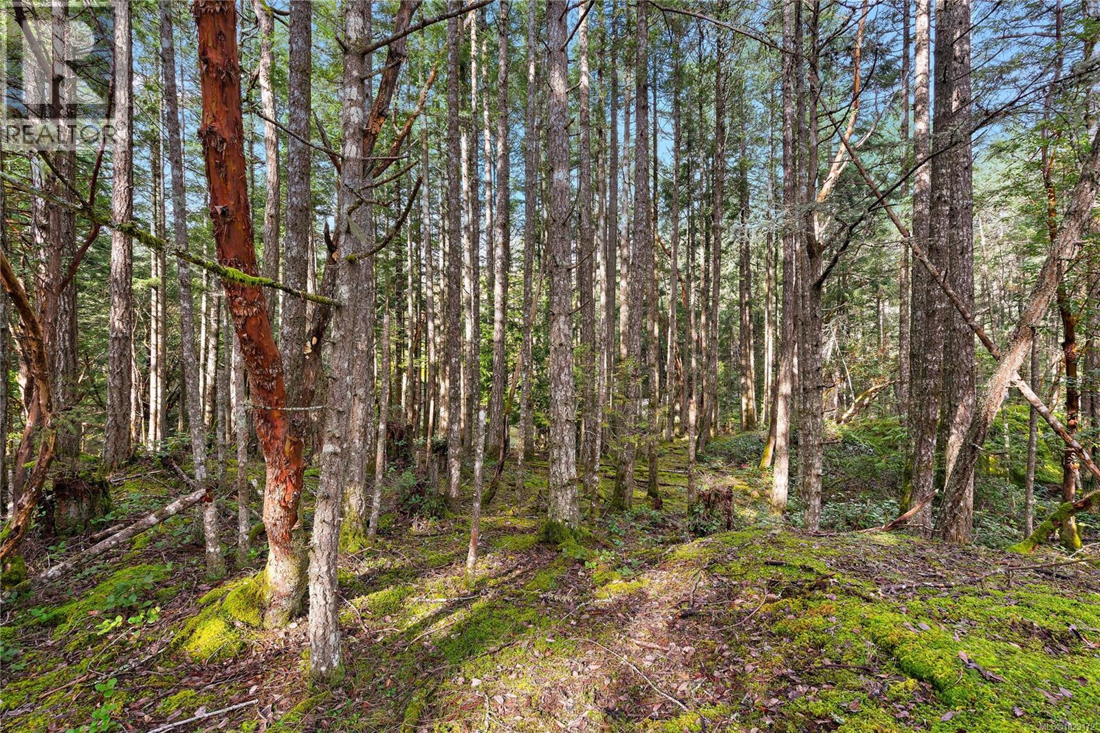  872 Walfred Road, Langford