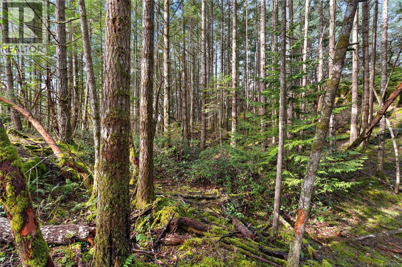  872 Walfred Road, Langford