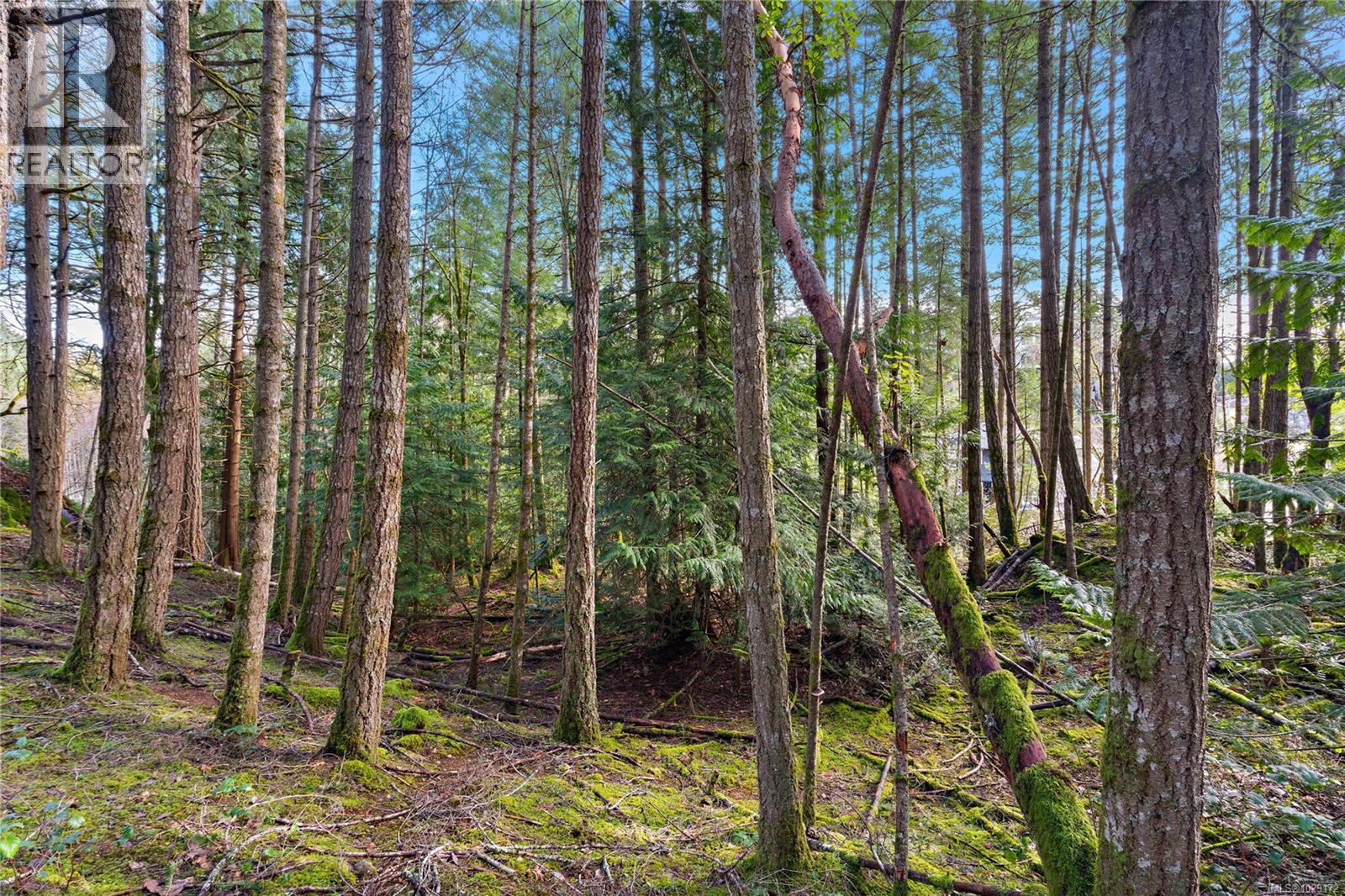  872 Walfred Road, Langford