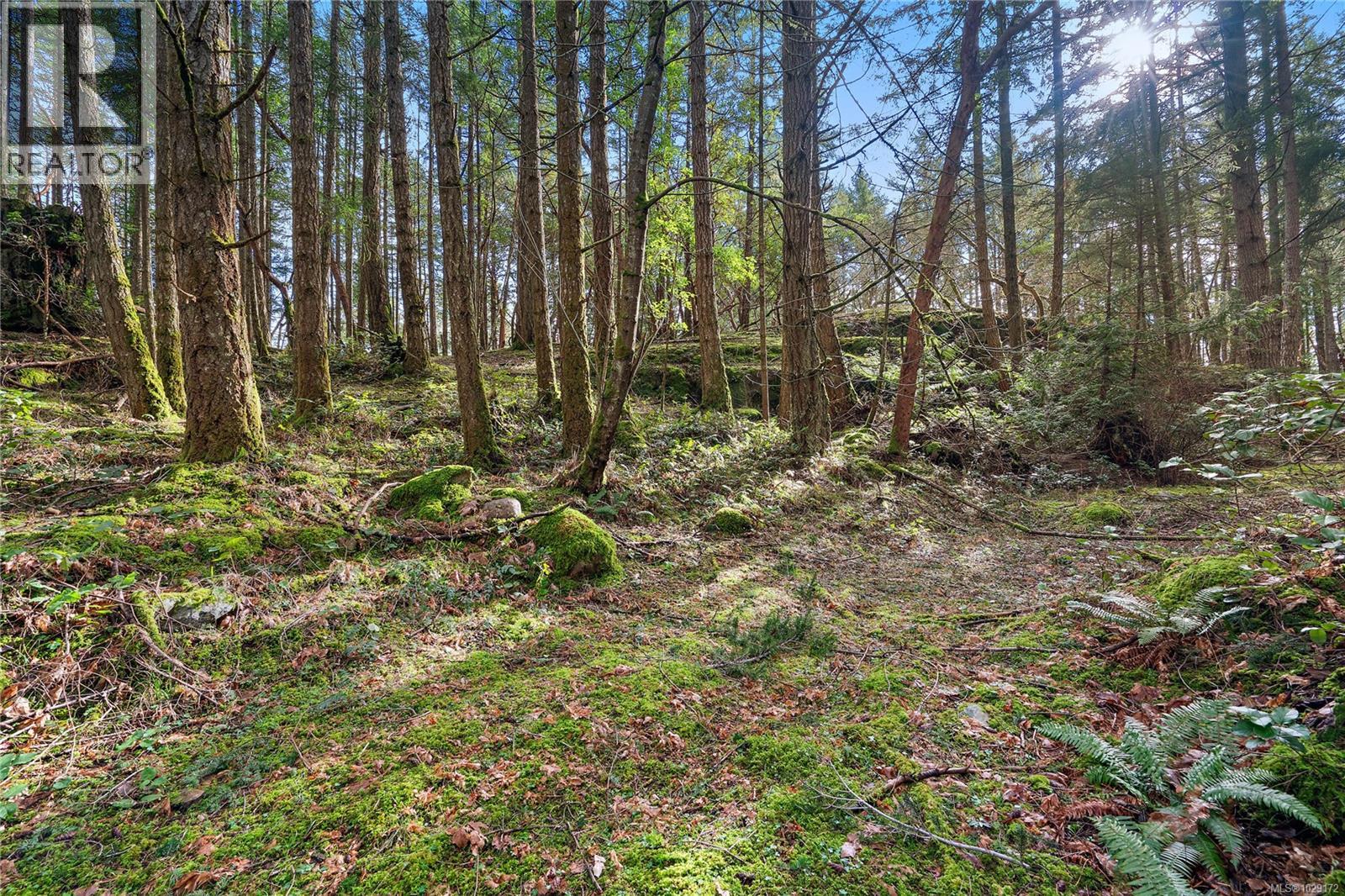  872 Walfred Road, Langford