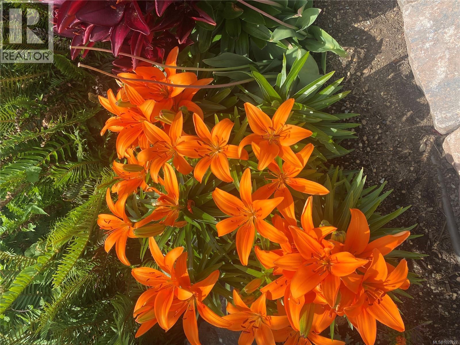  6483 Cedarview Place, Sooke