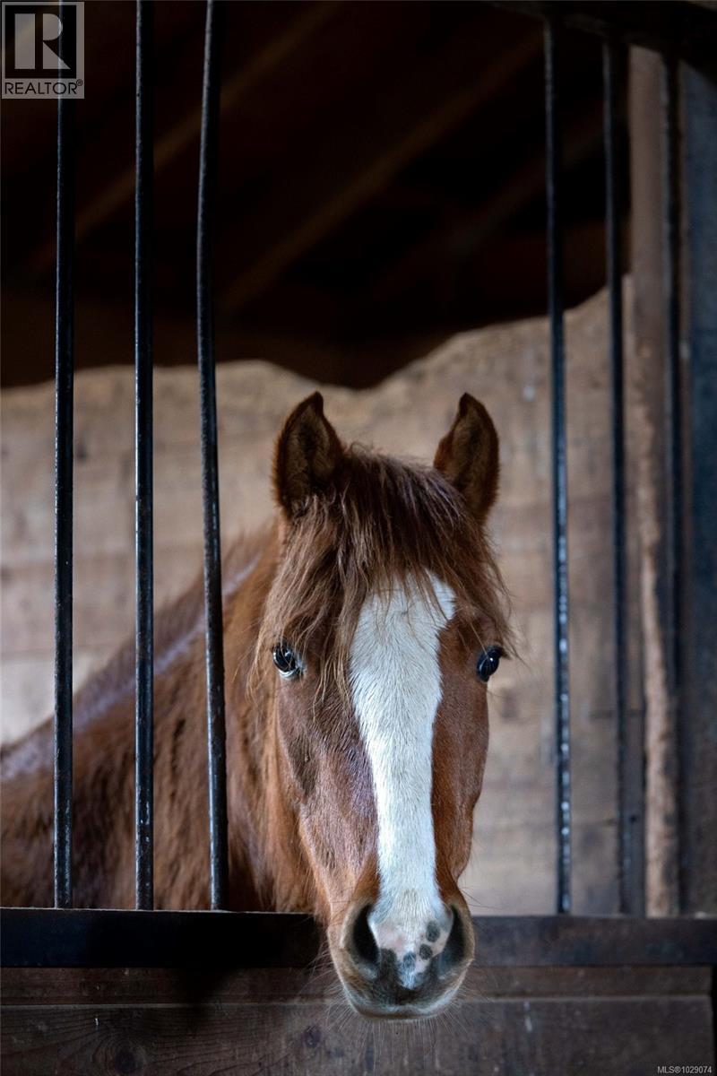  1584 White Road, Central Saanich