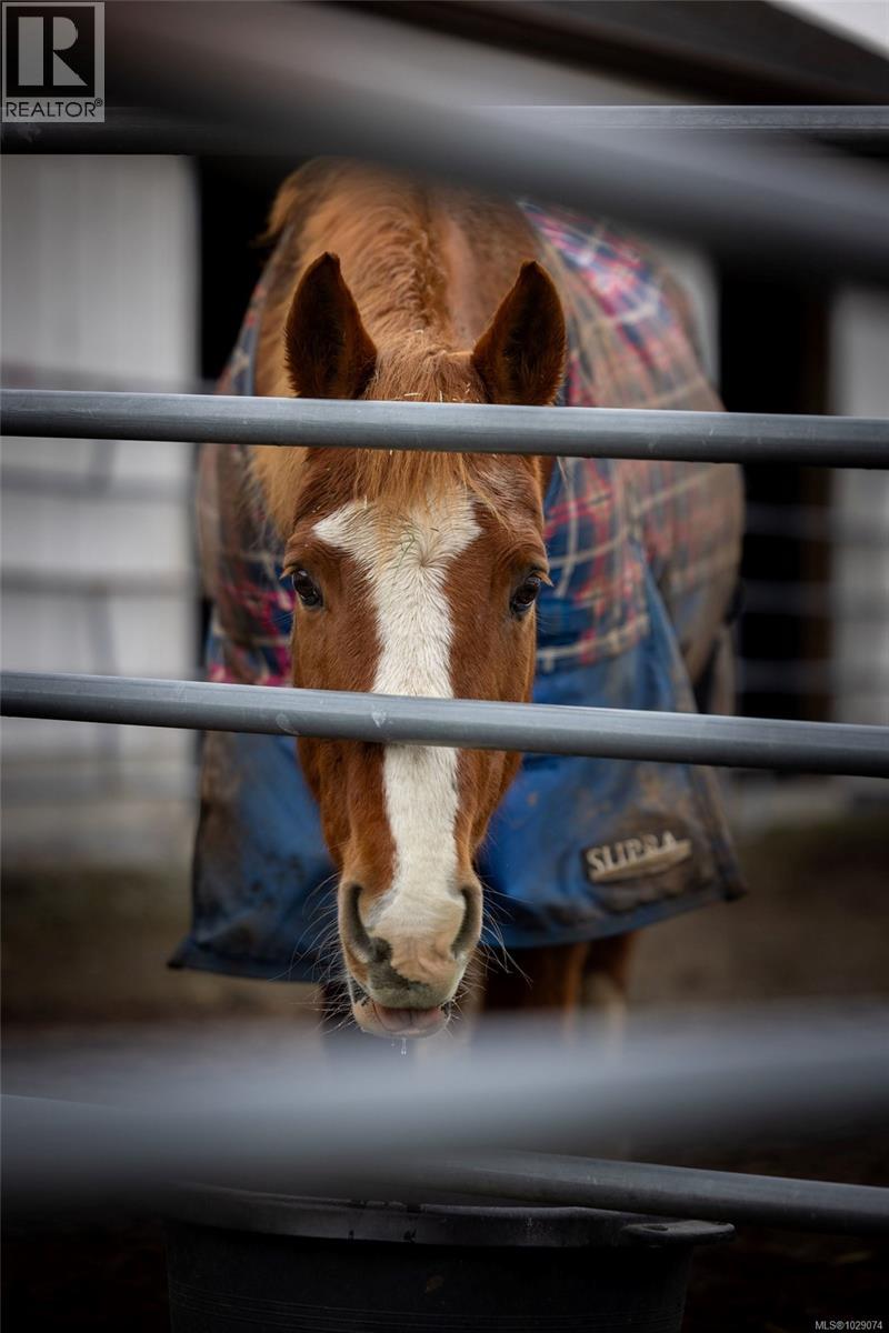  1584 White Road, Central Saanich