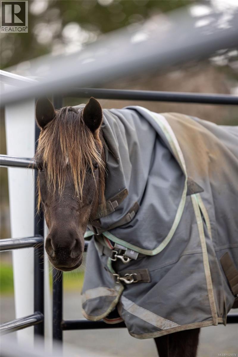  1584 White Road, Central Saanich