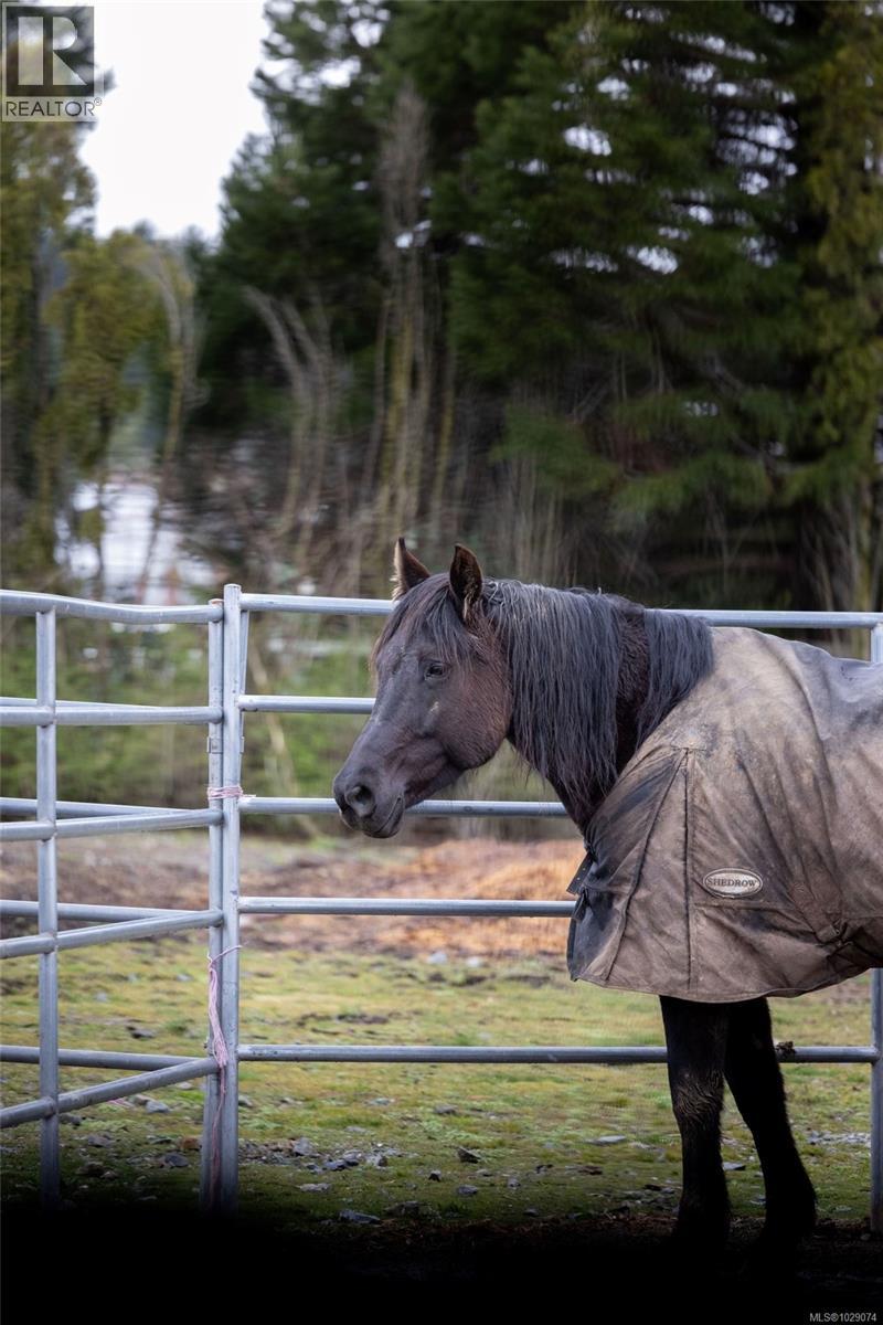  1584 White Road, Central Saanich