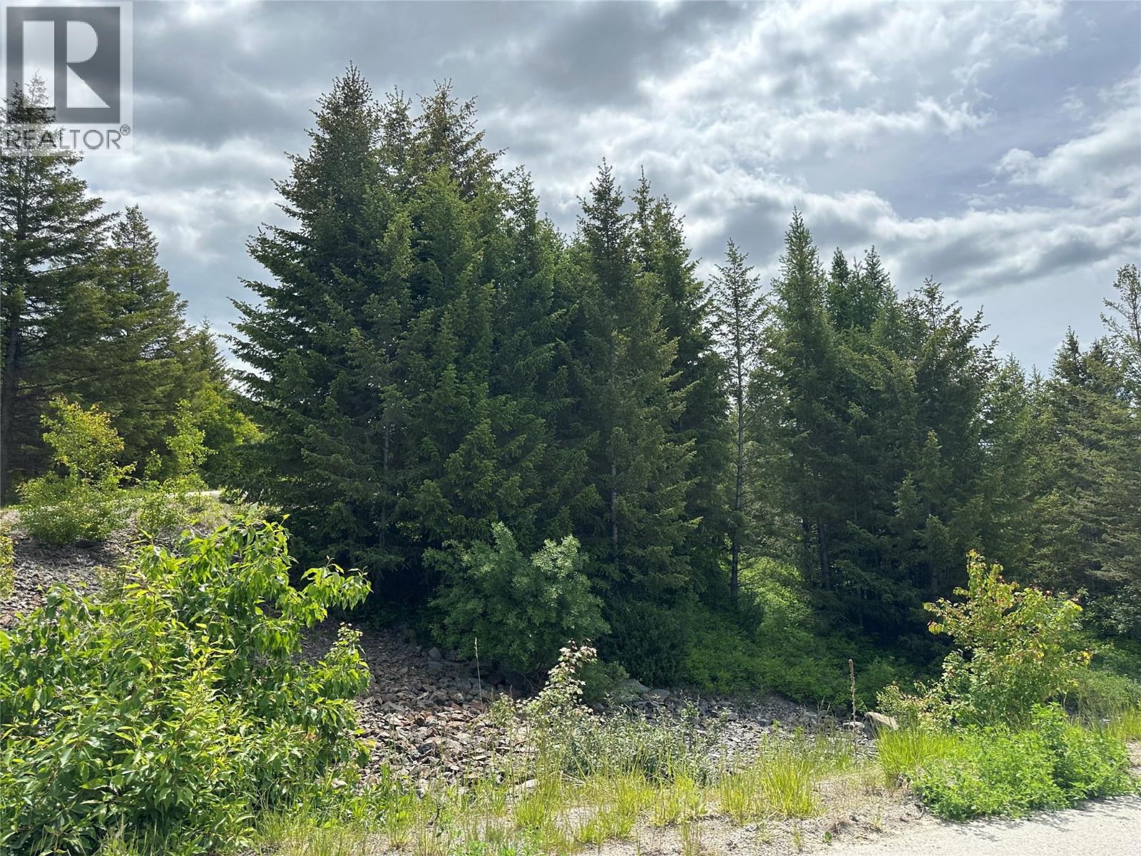 1333 Timberwolf Trail, Bridesville