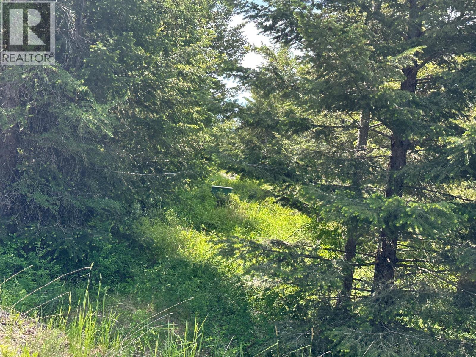 1333 Timberwolf Trail, Bridesville