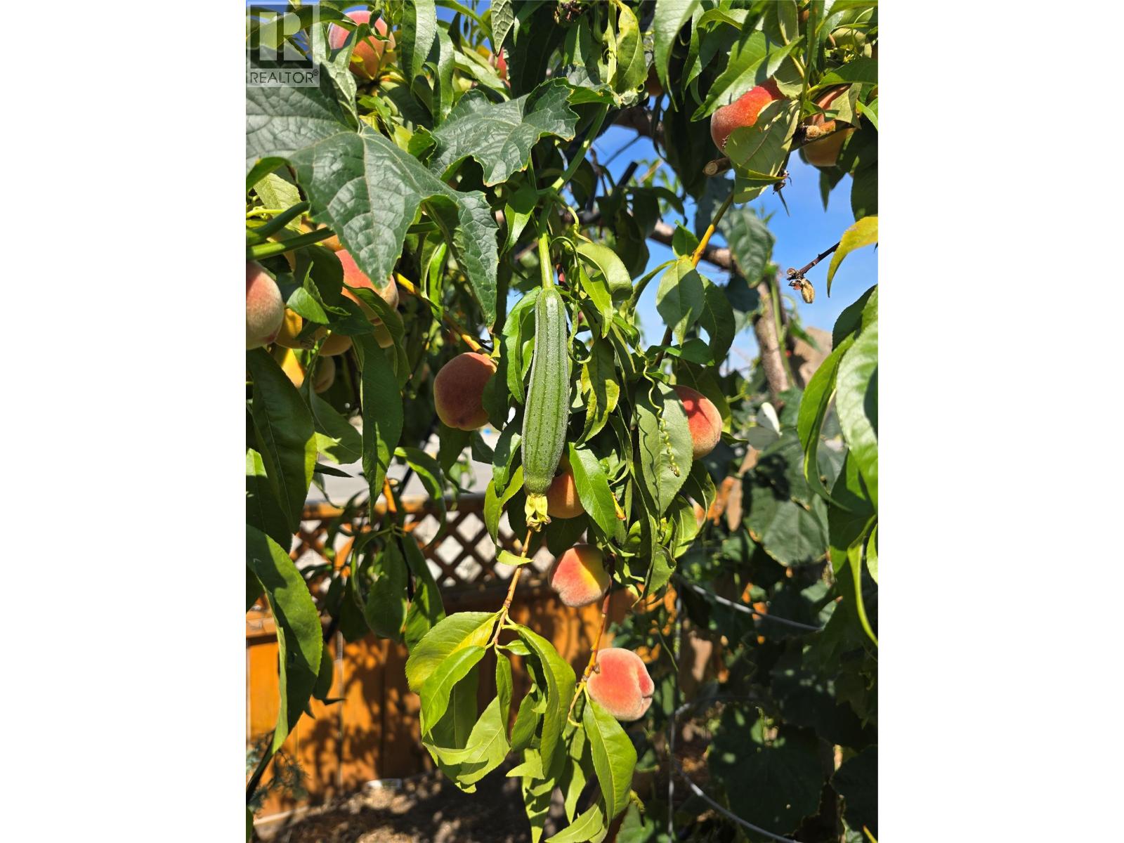 415 Commonwealth Road Unit# 12, Kelowna