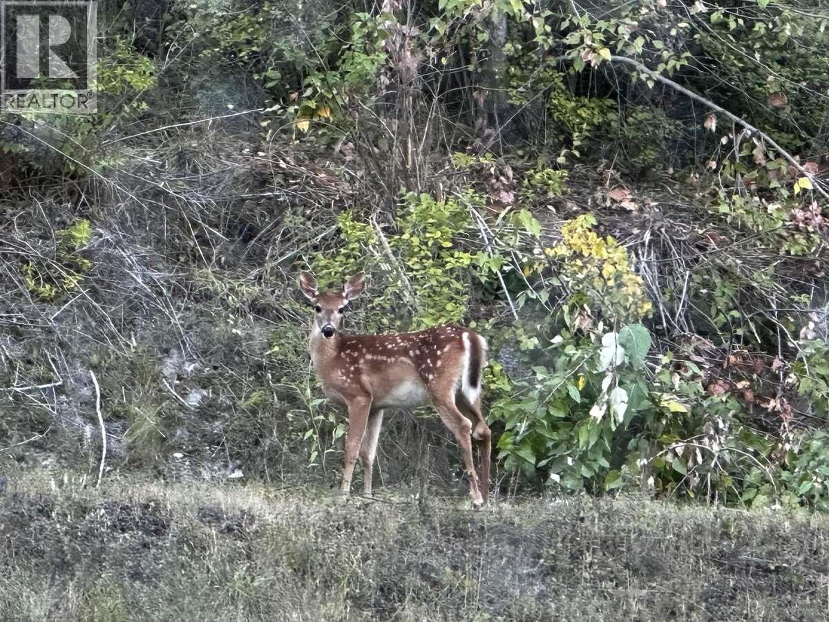 3304 WHITE LAKE ROAD - 22