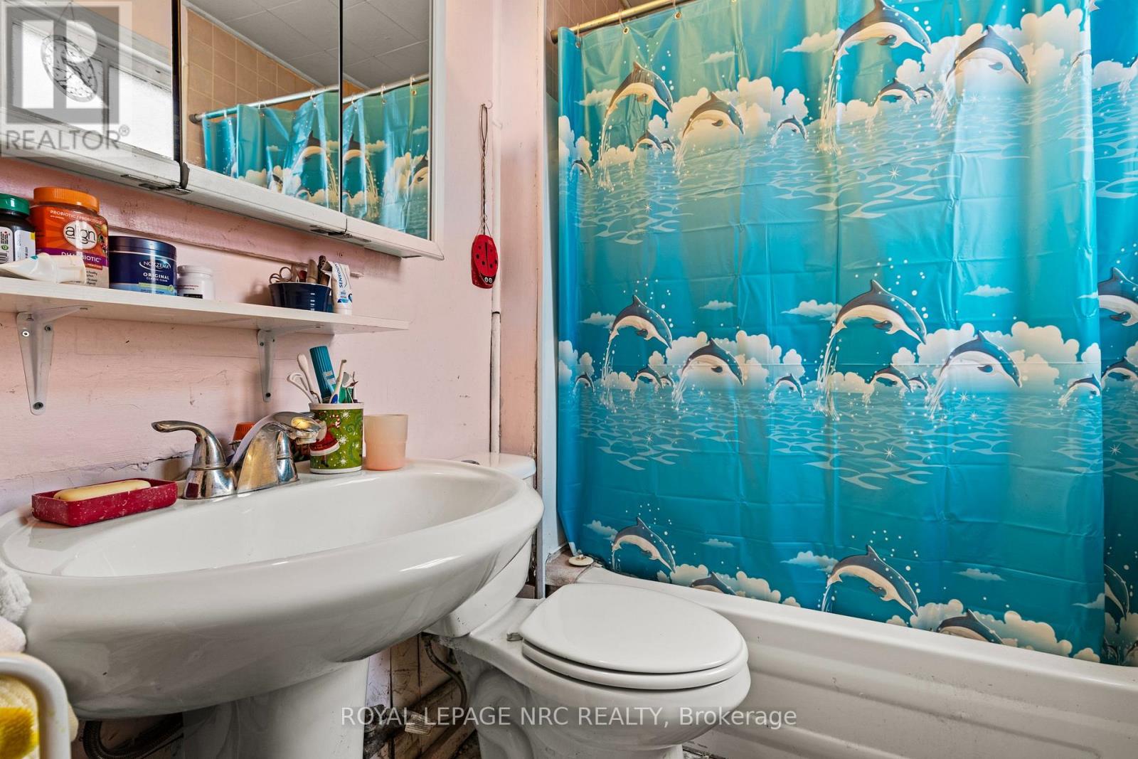 385 CROWLAND AVENUE - 11