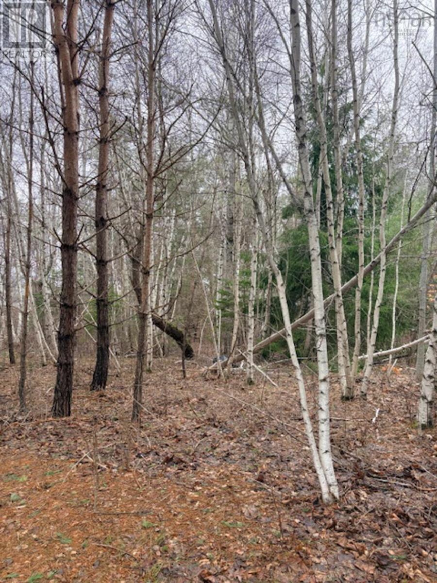 Property 4 of 4 of Lot 3 Wanda Lynn Drive