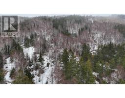 29 Acres West Bay Highway, St  Georges Channel, NS B0E3K0 Photo 19