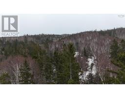 29 Acres West Bay Highway, St  Georges Channel, NS B0E3K0 Photo 18
