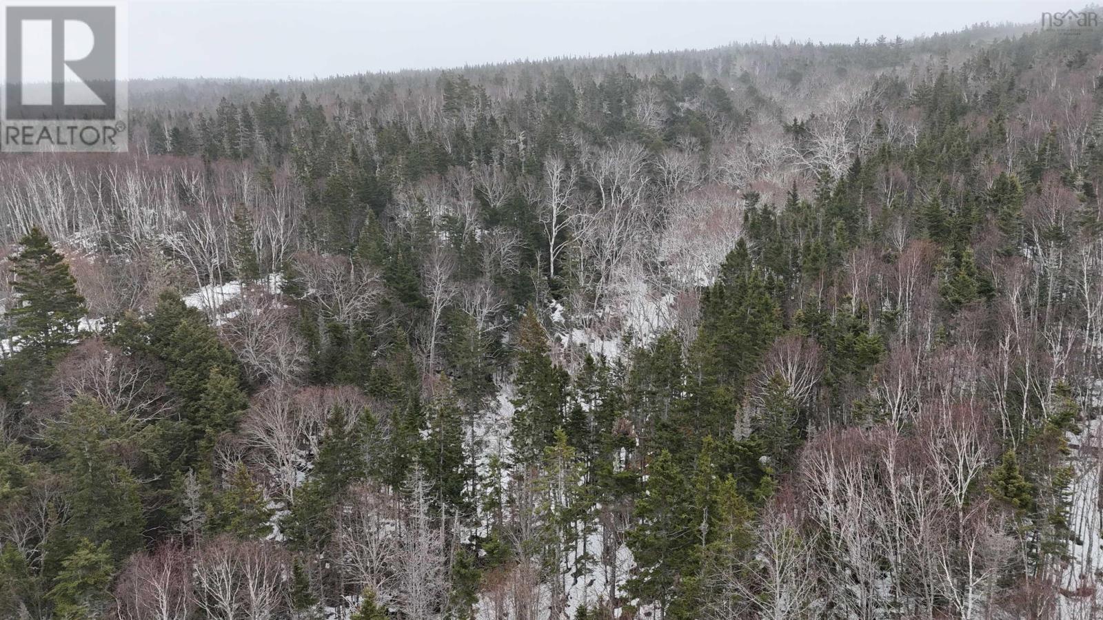 Property 23 of 32 of 29 acres West Bay Highway