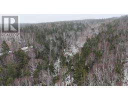 29 Acres West Bay Highway, St  Georges Channel, NS B0E3K0 Photo 23