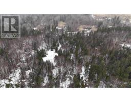 29 Acres West Bay Highway, St  Georges Channel, NS B0E3K0 Photo 31