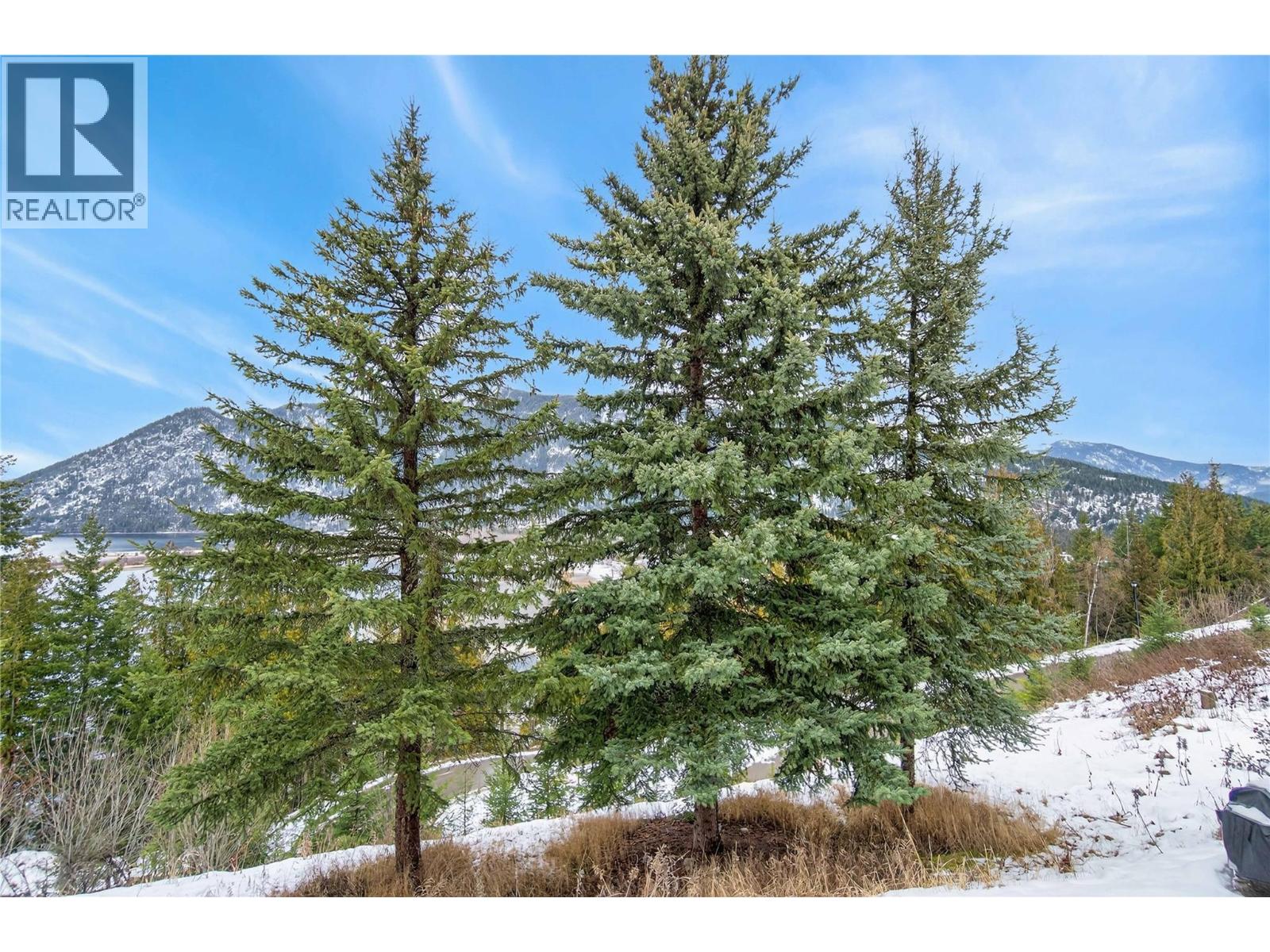 500 Old Spallumcheen Road Unit# 203, Sicamous