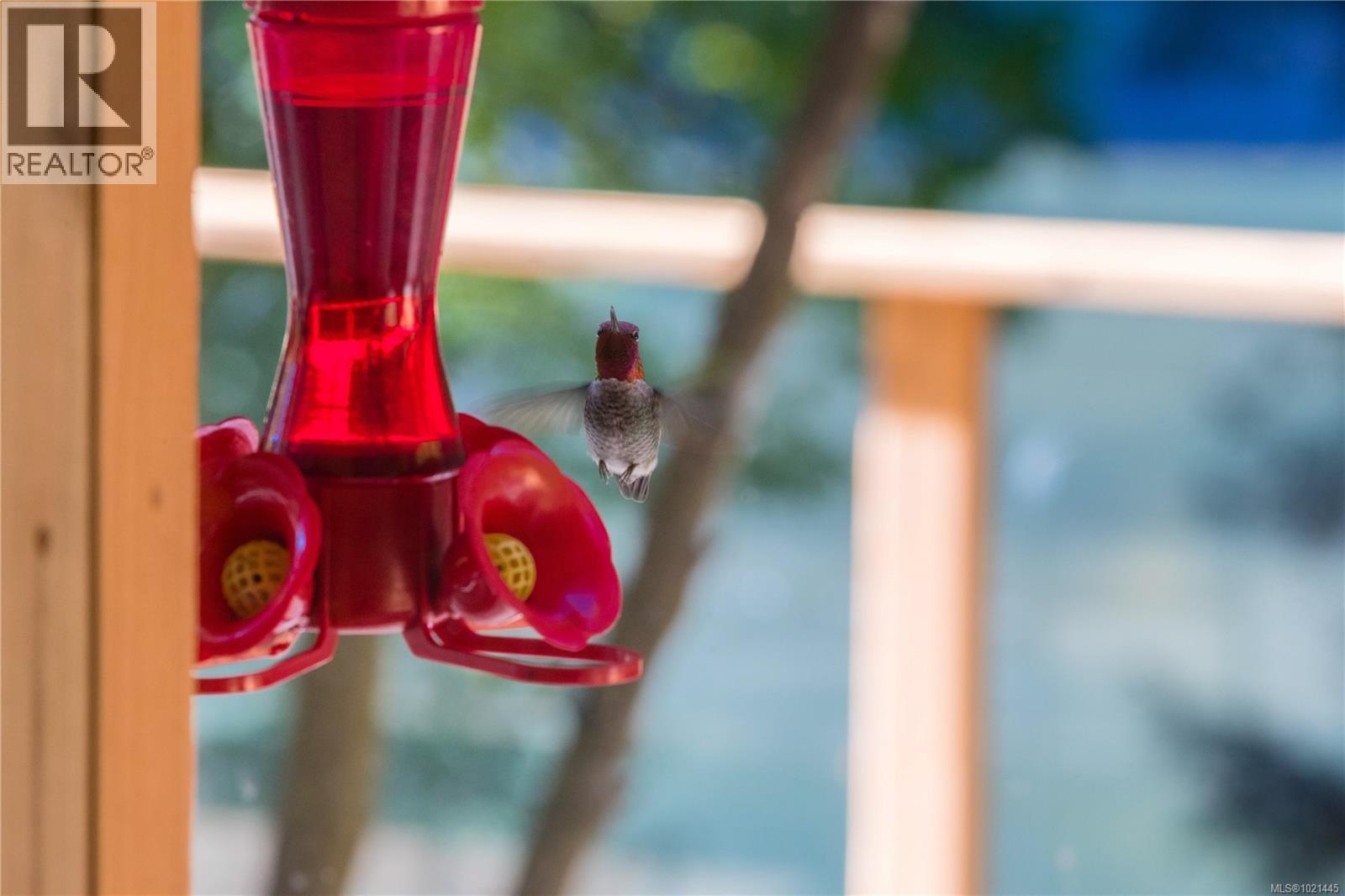  1709 Falcon Heights Road, Langford