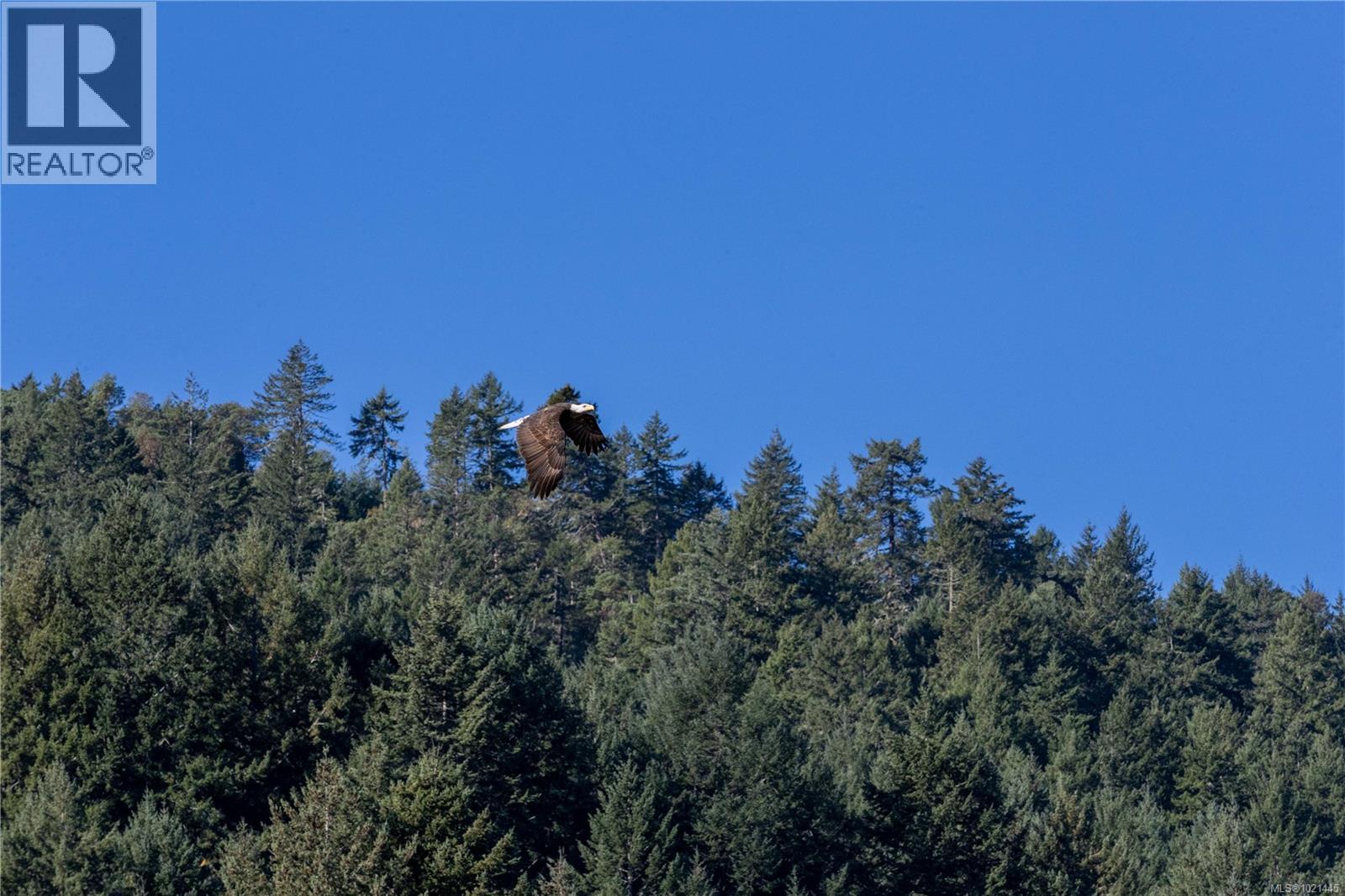  1709 Falcon Heights Road, Langford