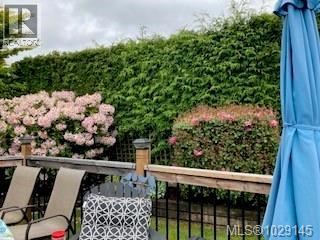 1303 Oceanside Dr - 27
