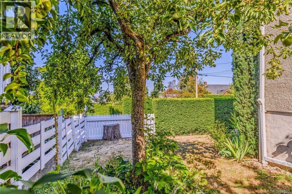 377 Milton St - 55