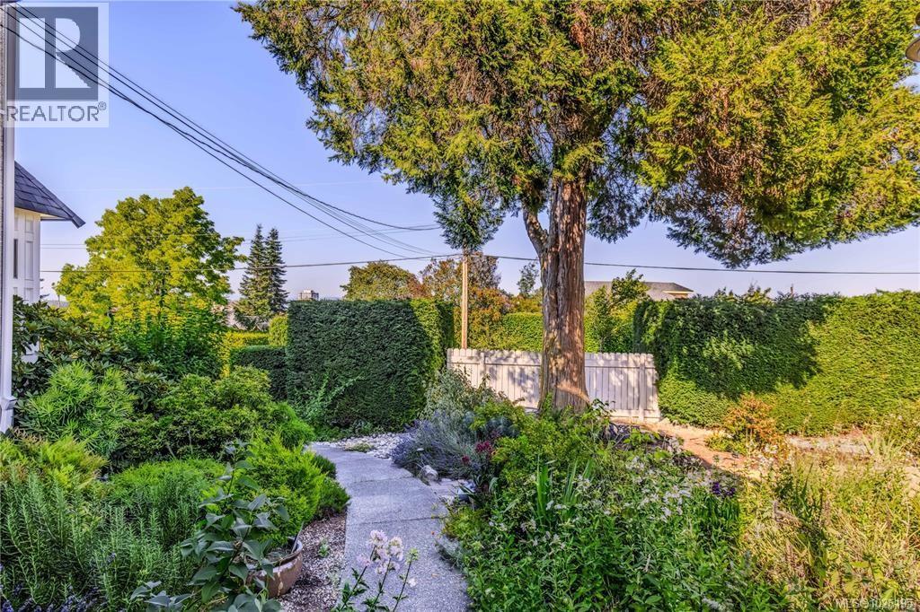 377 Milton St - 60