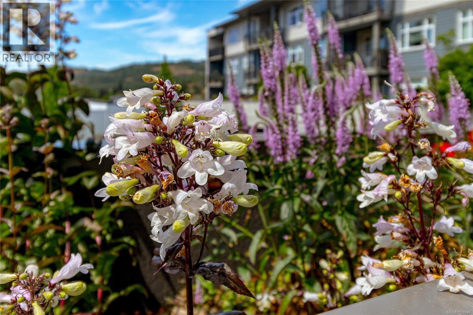 2655 Sooke Rd, Langford