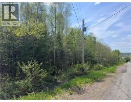 Lot Bridge Drive, Cambridge Narrows, NB E4C1W3 Photo 10