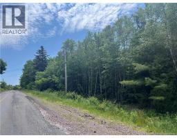 Lot Bridge Drive, Cambridge Narrows, NB E4C1W3 Photo 11