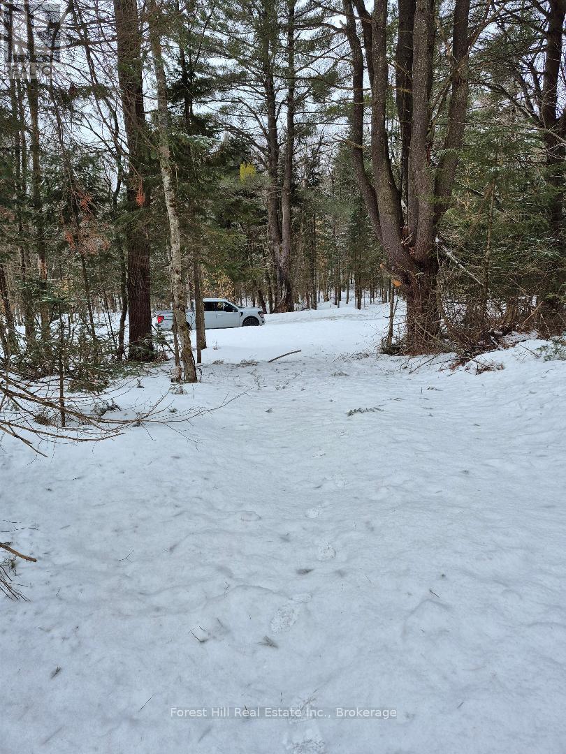 239 WOODLAND DRIVE S