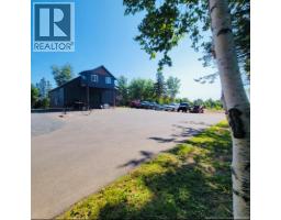 3pc Bathroom - 11540 Route 11, Pokemouche, NB E8P1K2 Photo 7