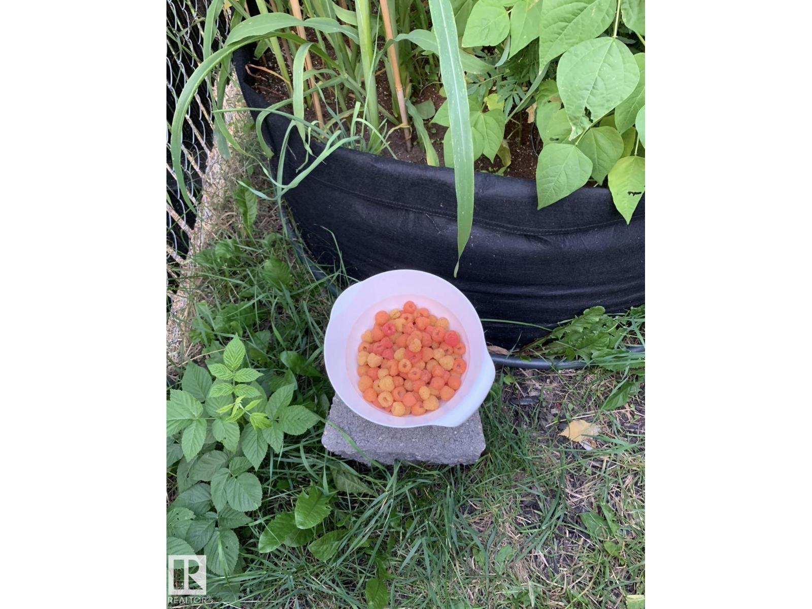 902 Jubilee Close, Sherwood Park