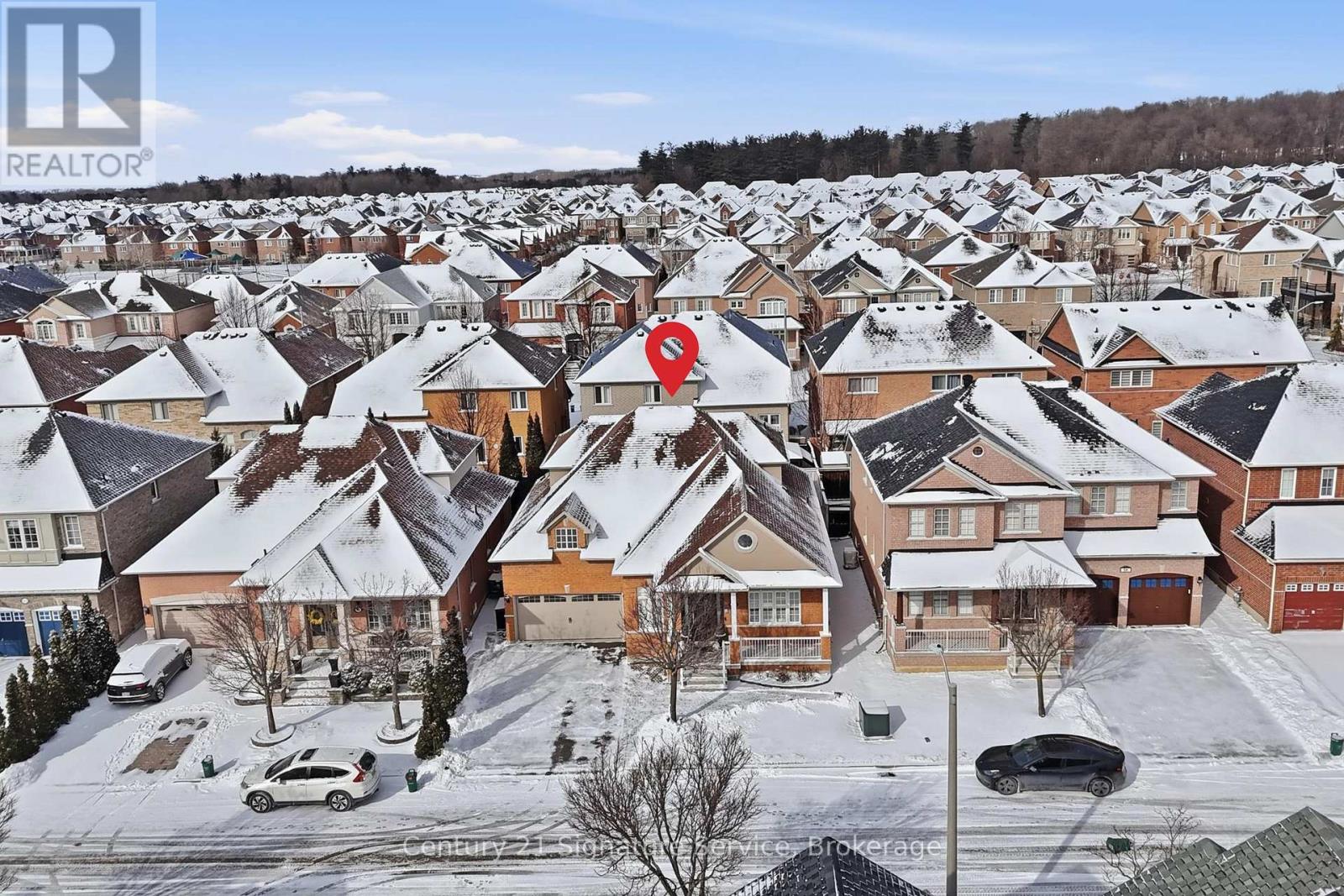 50 CHATEAU DRIVE - 33