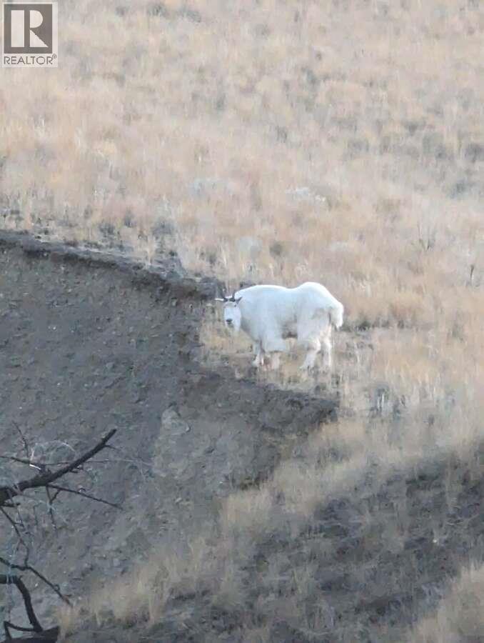 LOT 381 HIGH BAR ROAD - 57