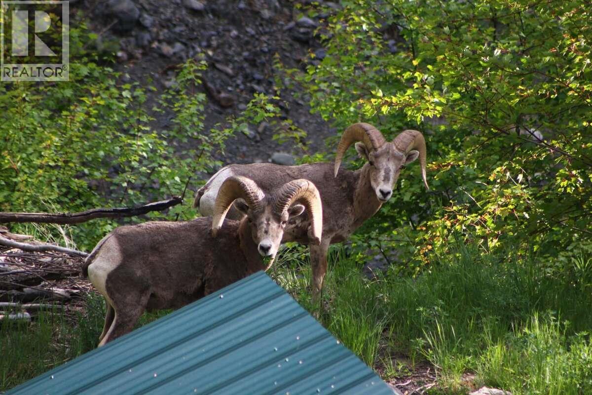 LOT 381 HIGH BAR ROAD - 56