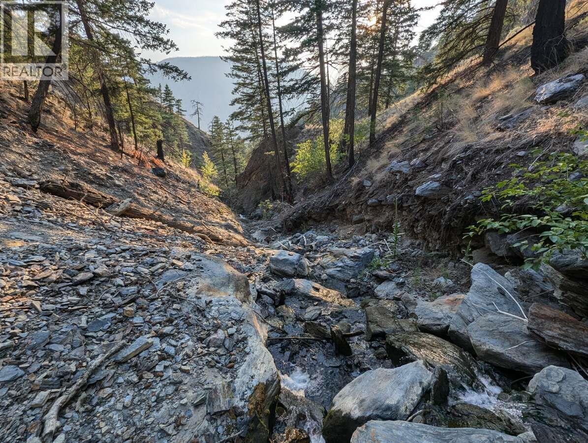 LOT 381 HIGH BAR ROAD - 50