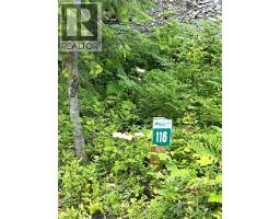 5363 Squilax-anglemont Road Lot# 116, Celista, BC V0E1M6 Photo 8