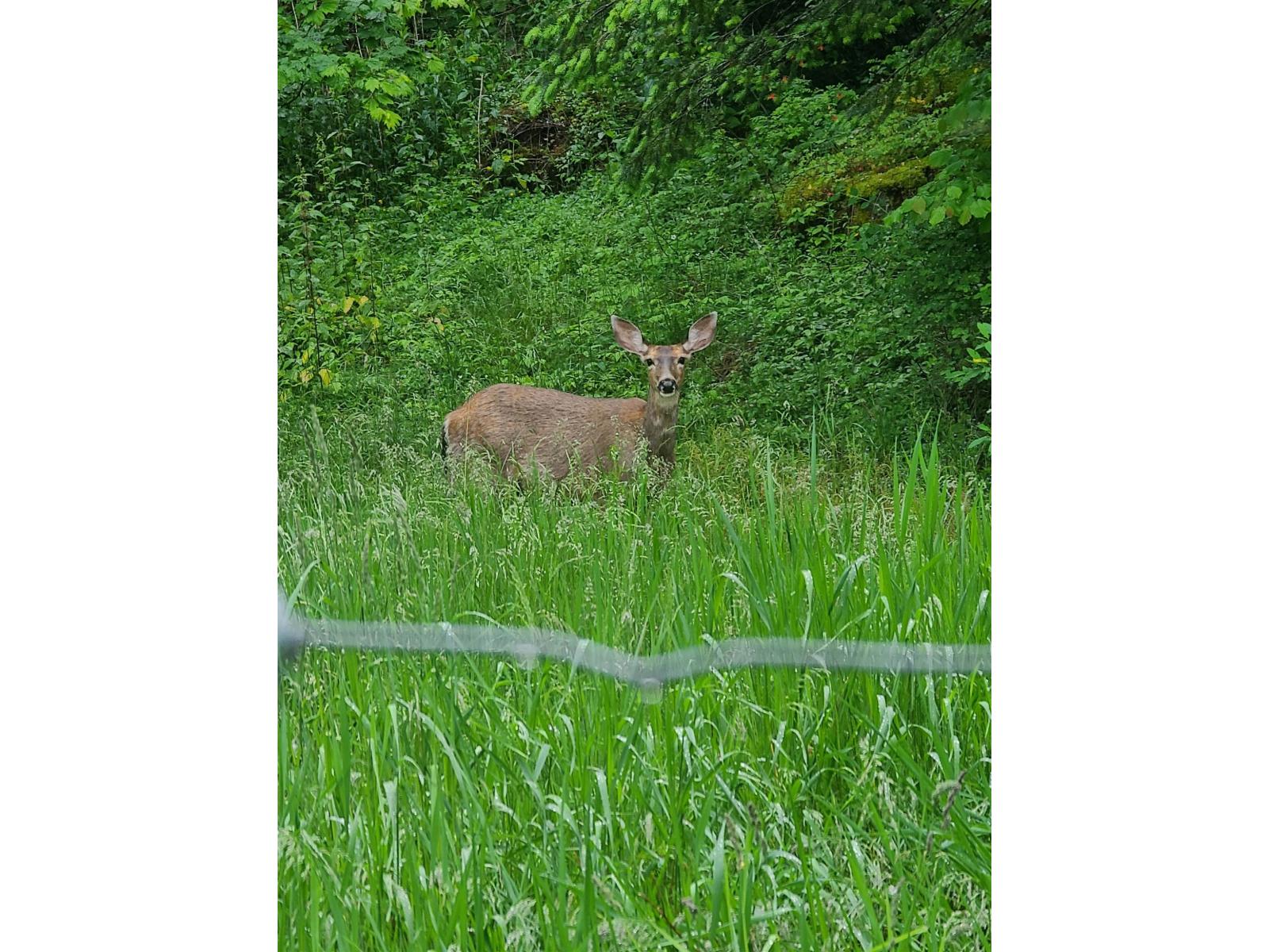 43414 CREEKSIDE CIRCLE, Cultus Lake South, Lindell Beach