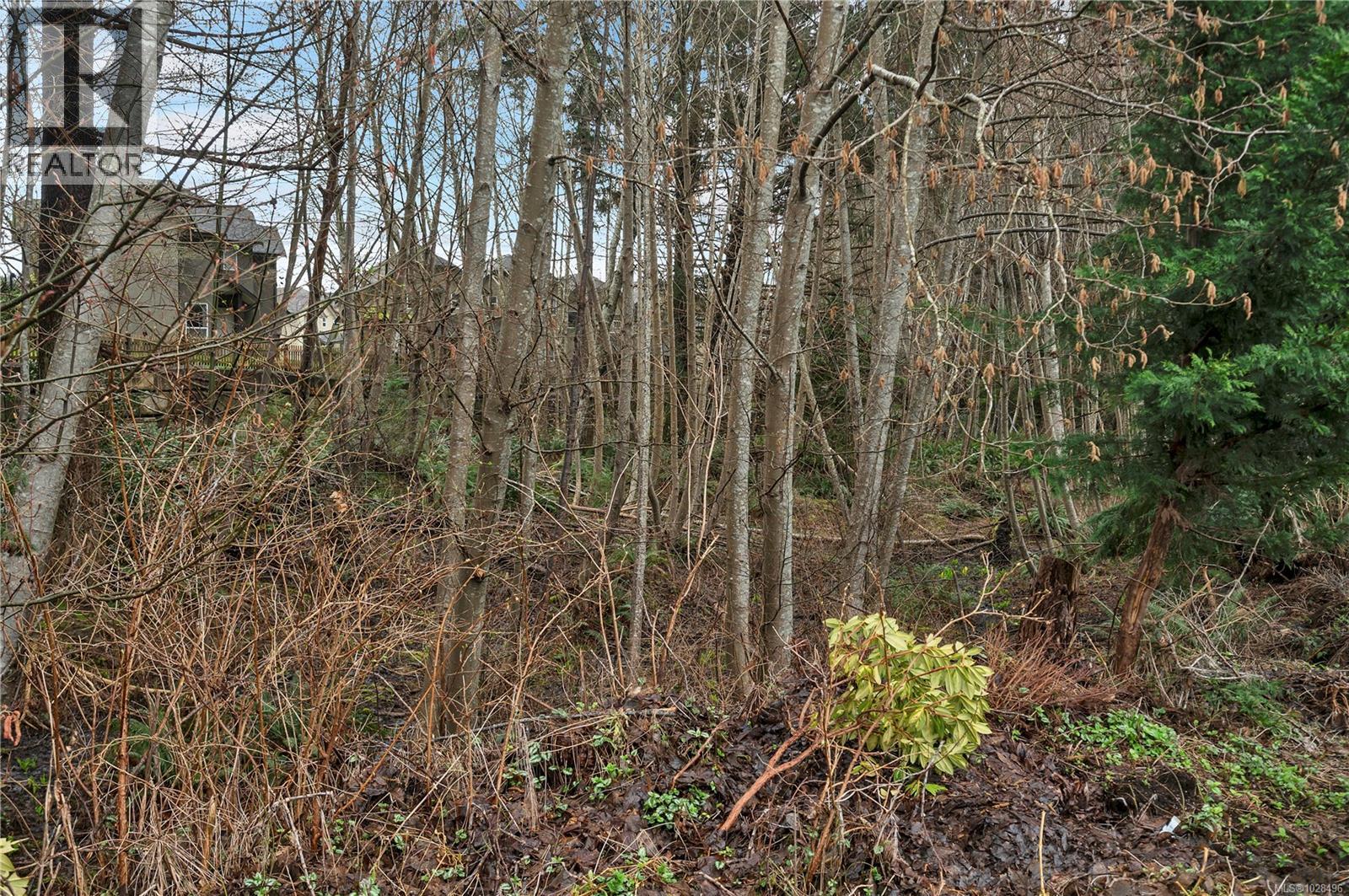 #15 605 ROCKLAND RD - 34